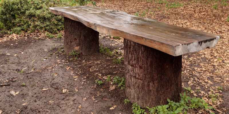 Mahogany Wood Slab Essentials