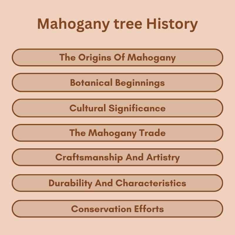 Mahogany tree History
