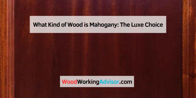 What Kind of Wood is Mahogany