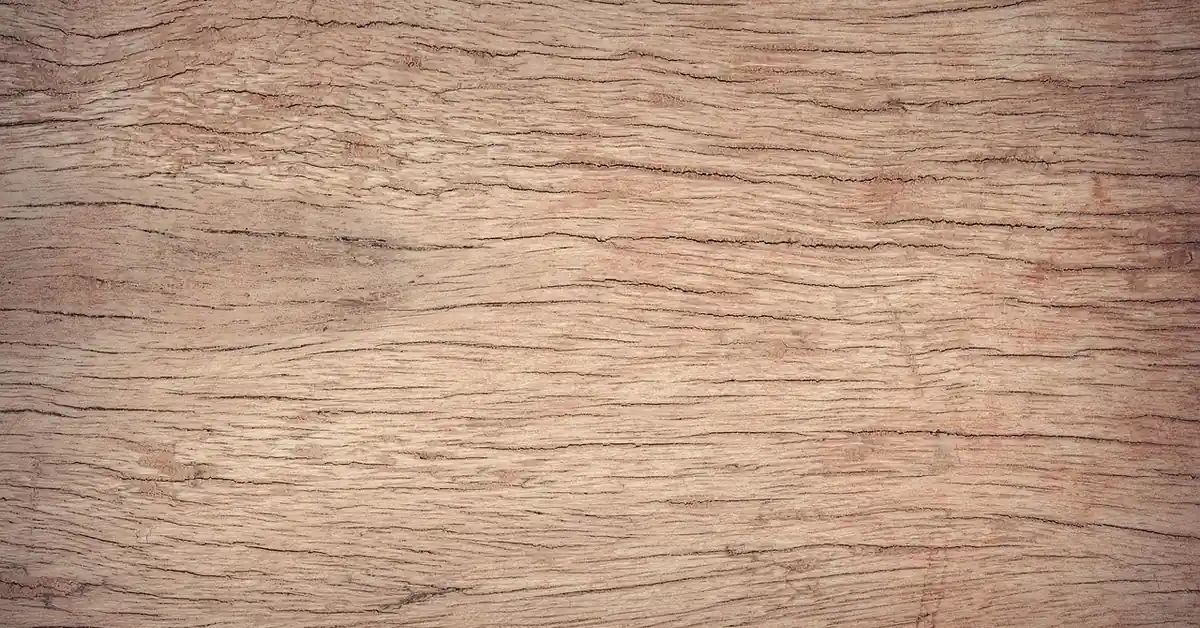 close-up of light tan alder-toned wood grain showing warm reddish undertones