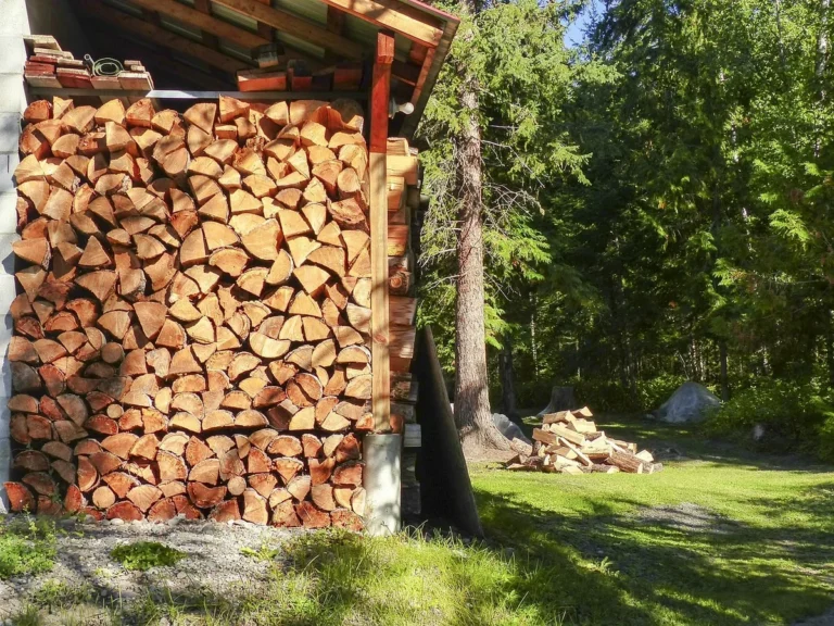 Split aspen firewood stacked in a wood shed with a loose pile nearby