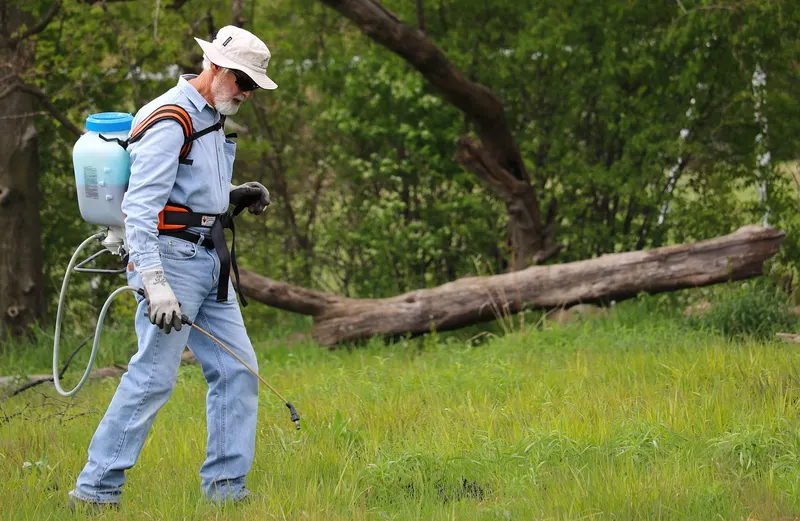 Person wearing a backpack sprayer while treating an outdoor area