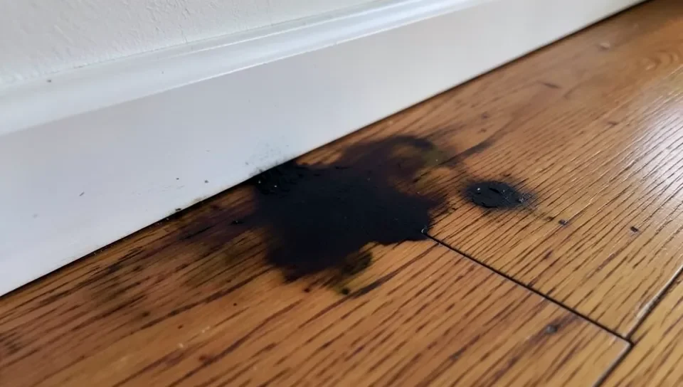 A blackened old urine stain on a hardwood floor near a baseboard