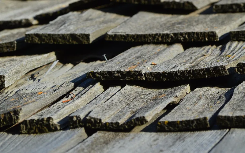 Warped, curling cedar shake with an exposed nail head, a sign of repeated wet-dry cycling