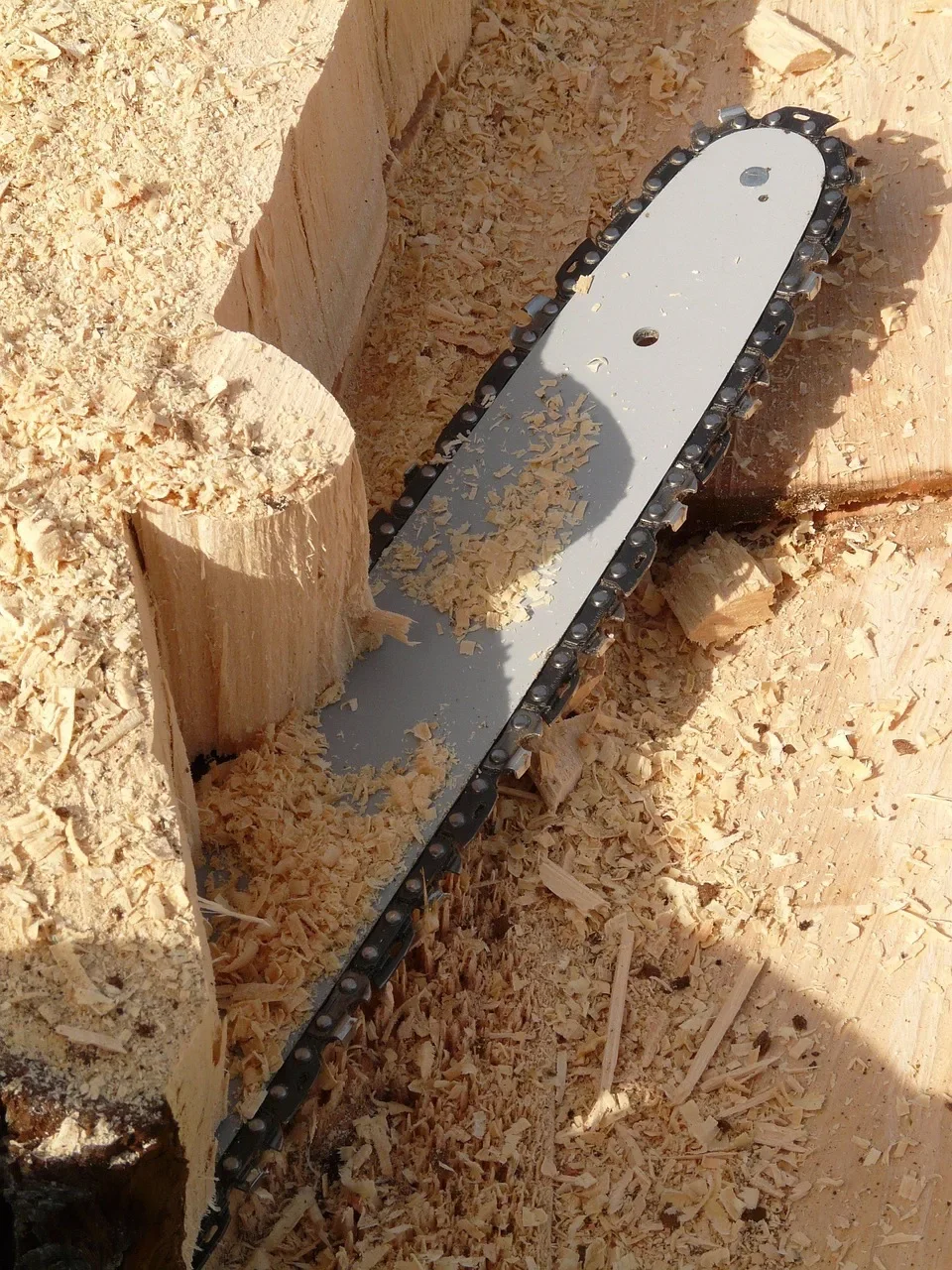 Chainsaw bar and chain lying on fresh sawdust and cut logs Chainsaw bar and chain lying on fresh sawdust and cut logs