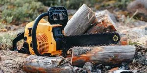 A chainsaw resting on cut firewood logs