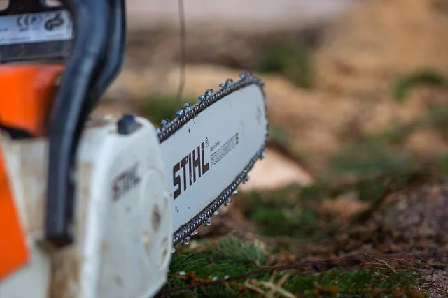 Close-up of a chainsaw guide bar and chain