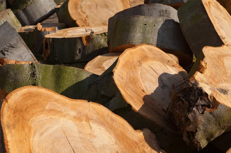 Firewood rounds cut and split, ready for stacking Firewood rounds cut and split, ready for stacking