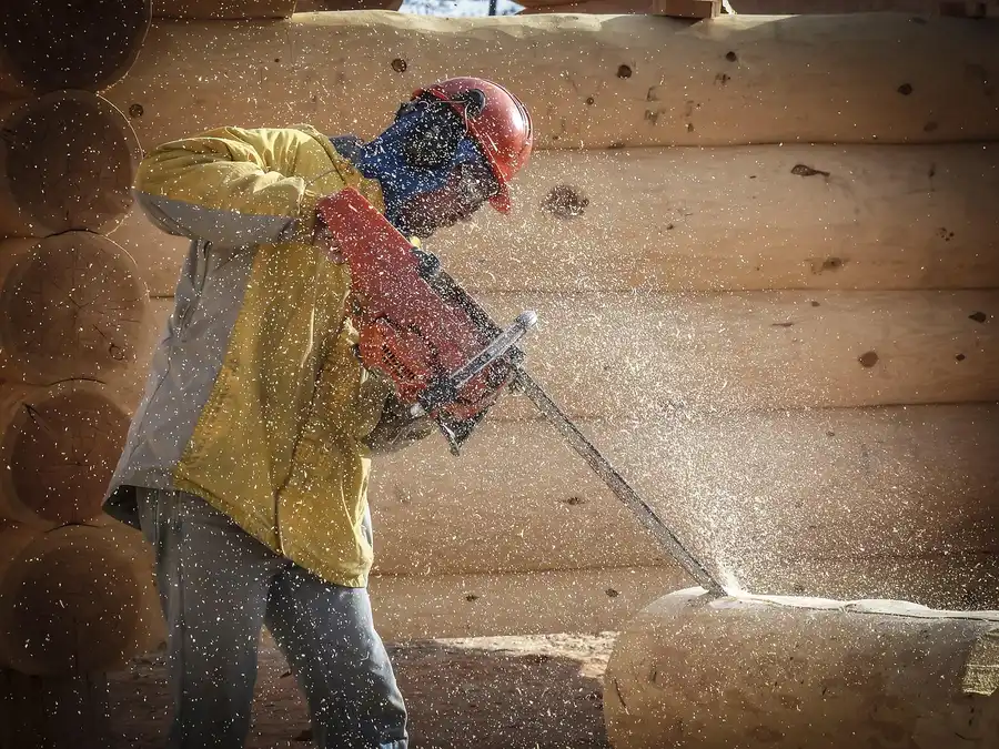 Worker cutting logs with a gas chainsaw, sawdust flying Worker cutting logs with a gas chainsaw, sawdust flying