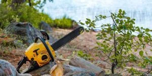A chainsaw with its guide bar and chain visible, ready for a length check.