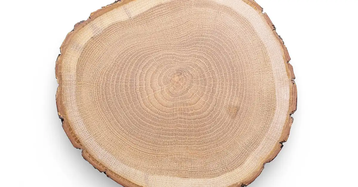 Cheap rustic wood slab round slice with natural bark edge for DIY crafts