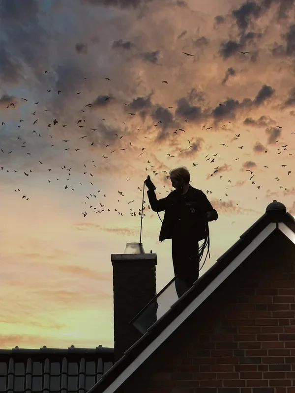 Chimney sweep standing on a roof ridge at sunset holding a cleaning rod beside a chimney