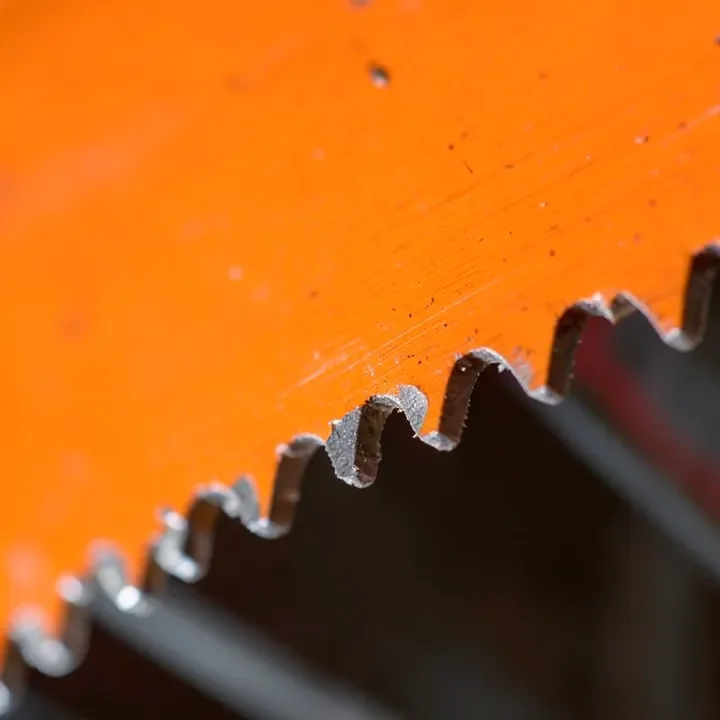 CMT carbide-tipped table saw blade showing tooth detail