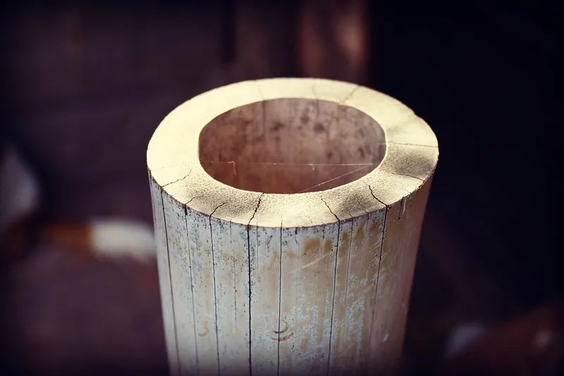 Cut end of a bamboo culm showing the hollow center and thin dense wall