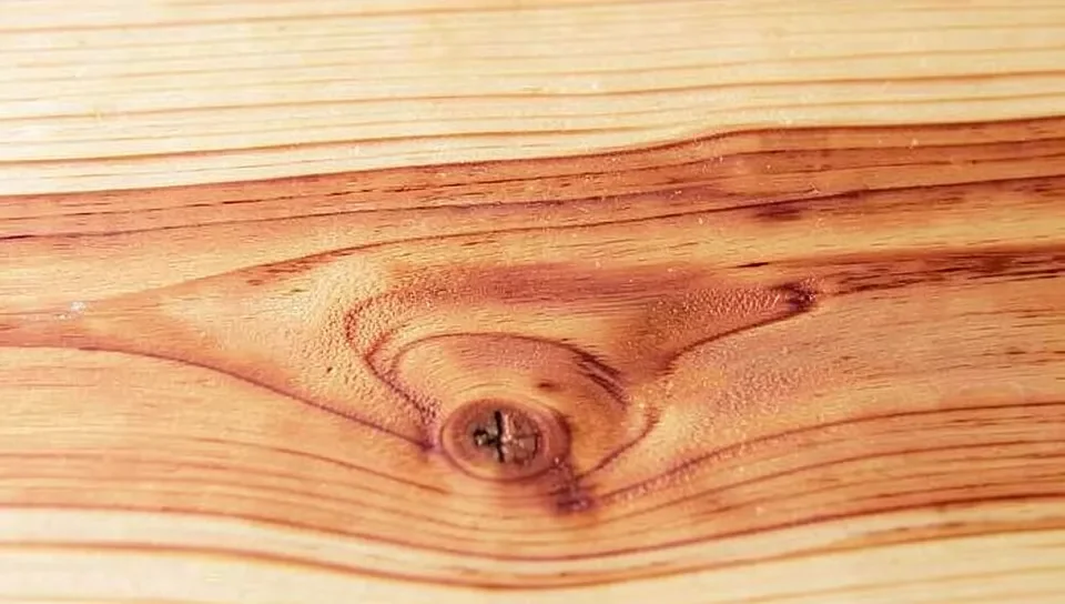 Eastern redcedar wood grain showing pale and reddish-brown coloring