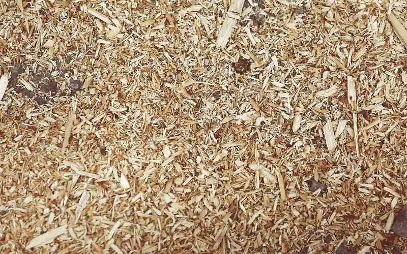 close-up of fresh wood chips produced by a small chipper, ready for garden mulch close-up of fresh wood chips produced by a small chipper, ready for garden mulch