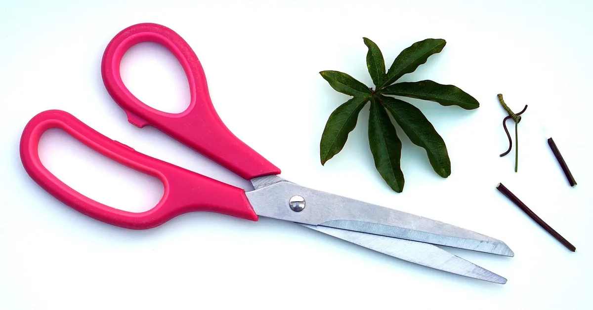 cutting wood molding trim hand tool