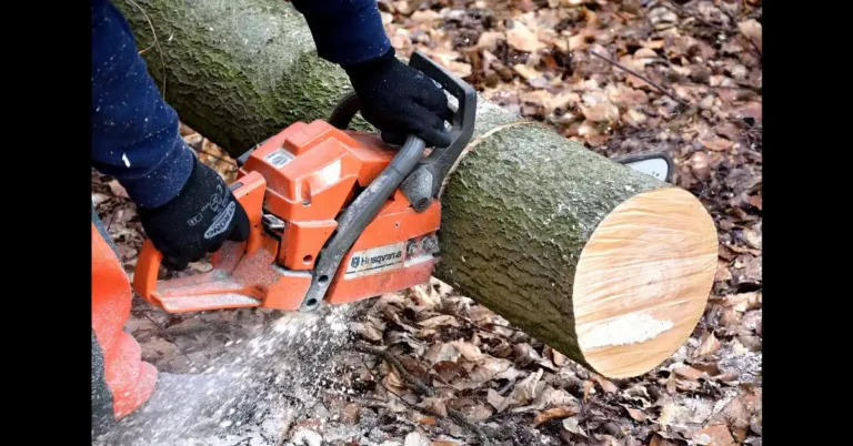Husqvarna chainsaw guide bar cutting through a log, showing its full working length