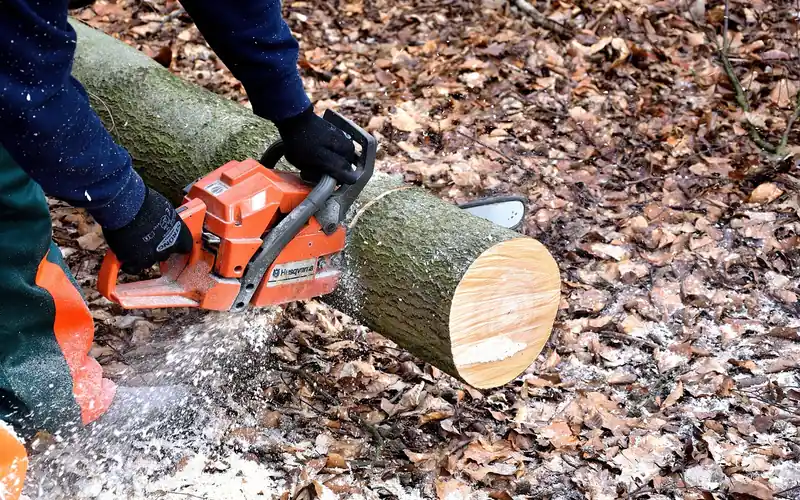 a Husqvarna-branded chainsaw cutting through a fallen log outdoors a Husqvarna-branded chainsaw cutting through a fallen log outdoors