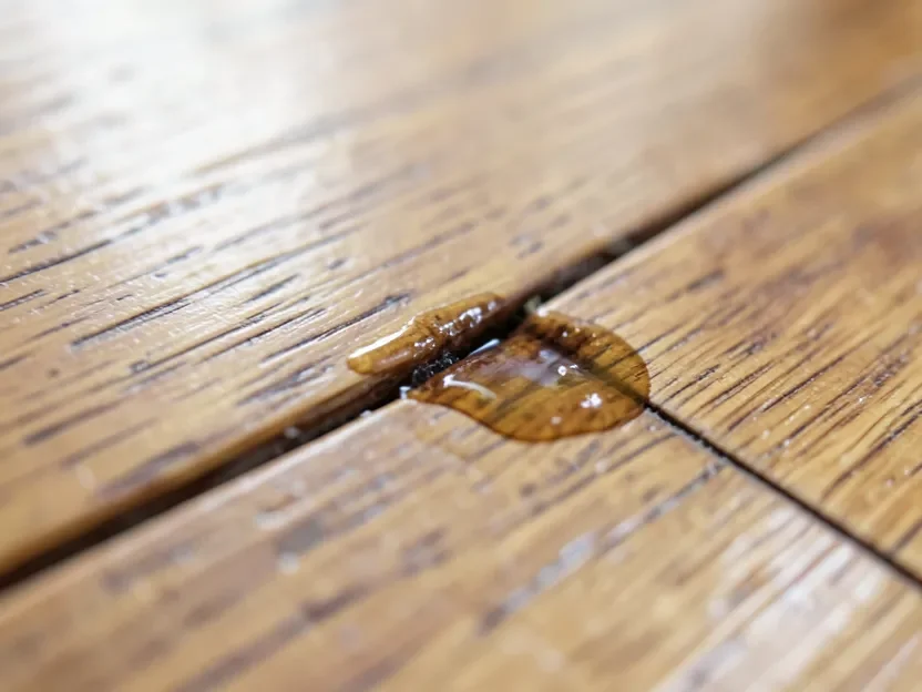 Cleaning liquid pooling in a hardwood floor seam where it can seep in and cause swelling