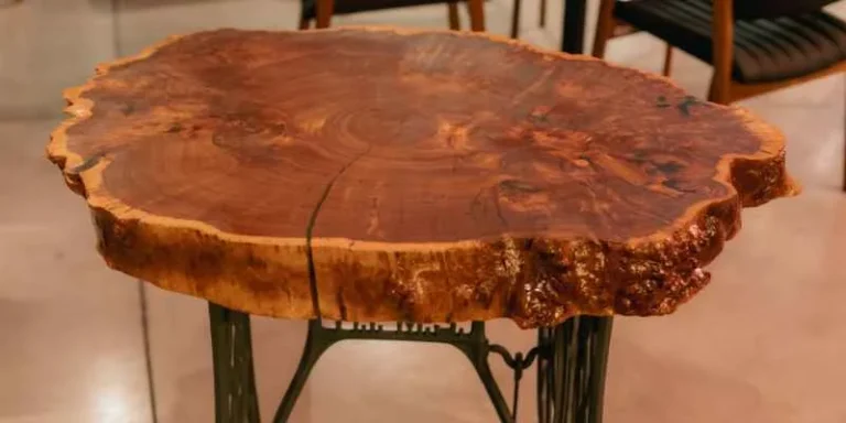 Round live edge wood slab showing natural bark edge and grain pattern, finished and mounted on metal legs