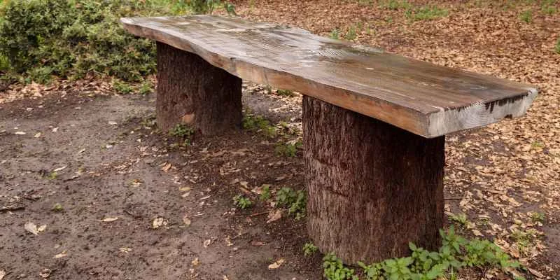 Live-edge wood slab bench weathered from outdoor exposure
