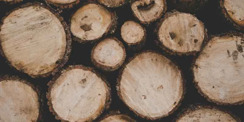 Log cross-sections from a certified forestry operation