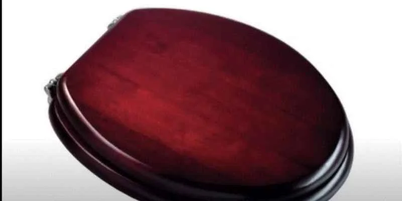 Installed mahogany-finish toilet seat