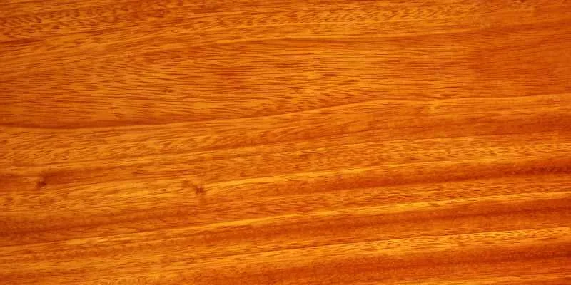 Close-up of rich reddish-brown mahogany wood grain