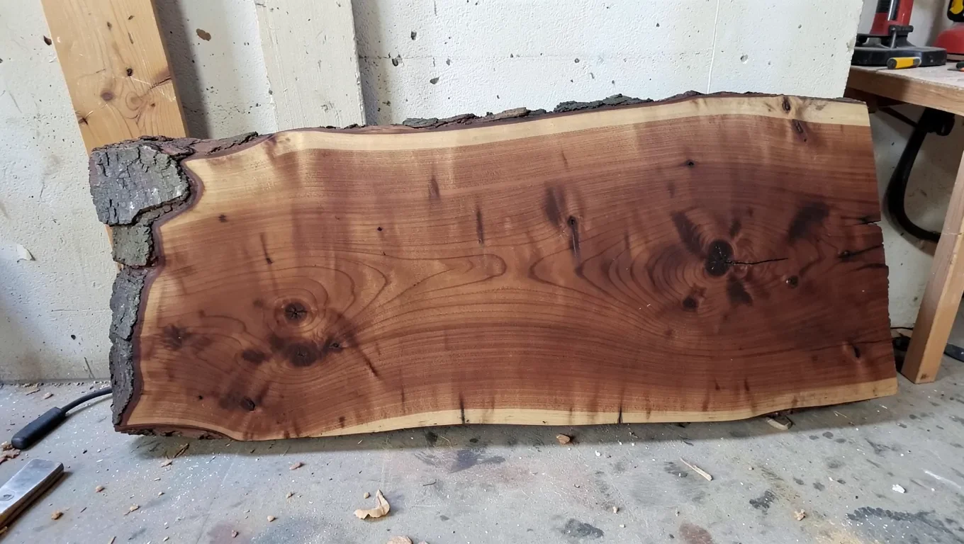 Raw live-edge mahogany wood slab with natural bark edge