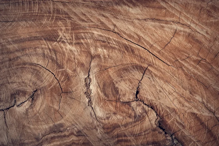 Close-up of rich walnut wood grain used in Maloof-style chair design