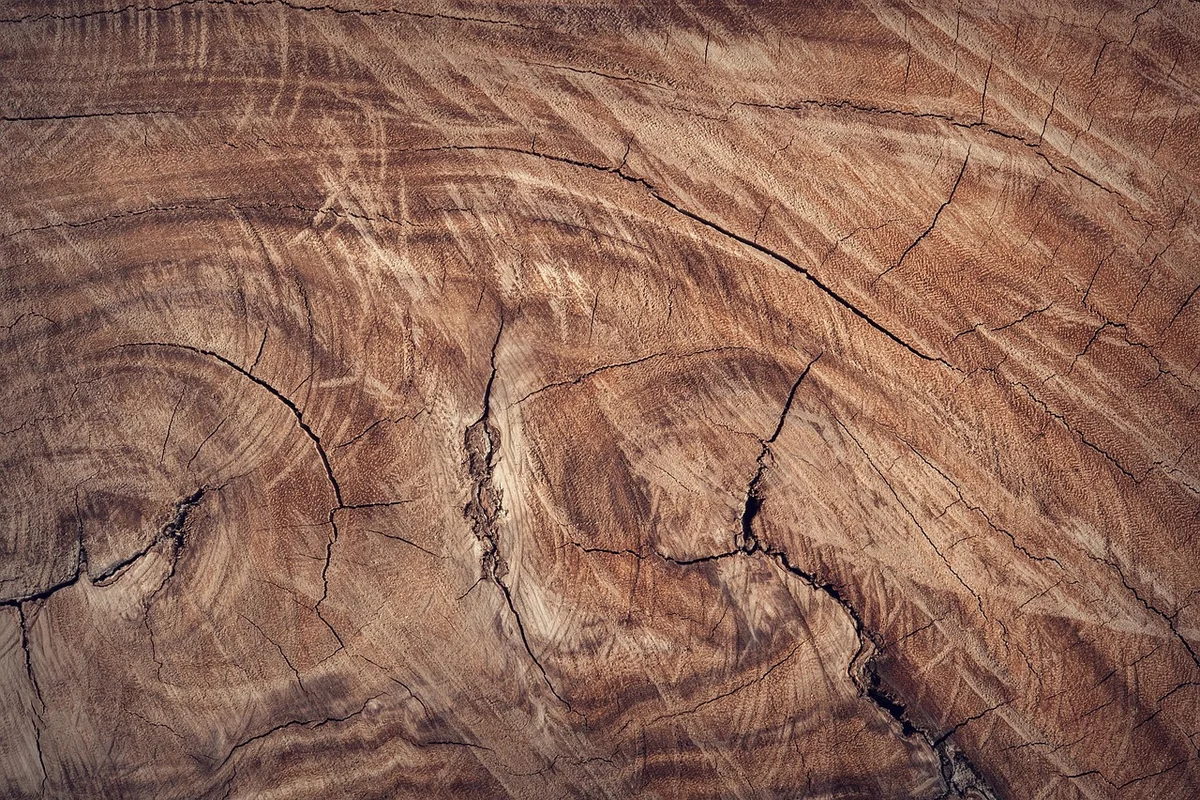Close-up of rich walnut wood grain used in Maloof-style chair design
