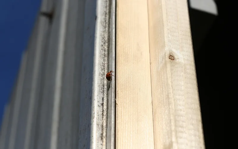 Close-up of a metal trim strip fitted flush against a wood door frame edge Close-up of a metal trim strip fitted flush against a wood door frame edge