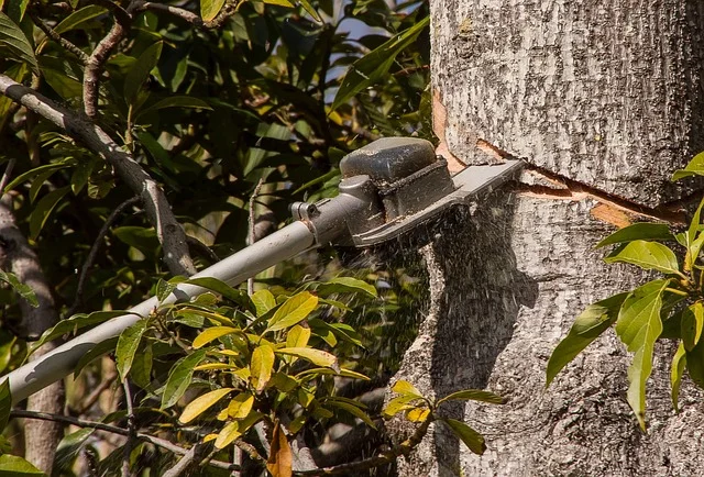A compact mini chainsaw cutting through a tree branch