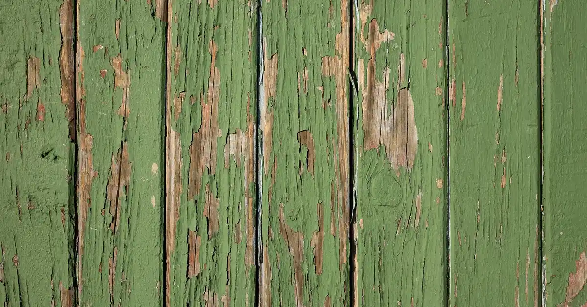 Old green paint peeling off a wood board before stripping and neutralizing