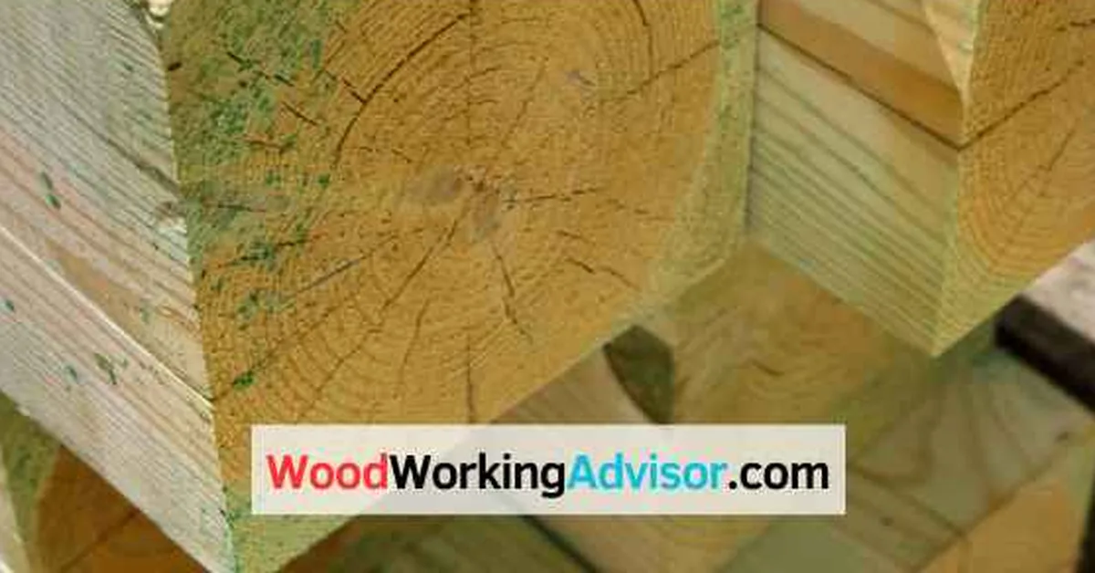 Number 2 prime pressure-treated lumber end grain showing greenish chemical tint