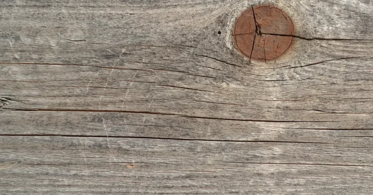 Weathered wooden board with a knot and long grain cracks