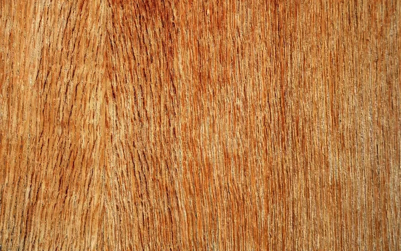 Face veneer of a plywood panel showing the wood grain Face veneer of a plywood panel showing the wood grain