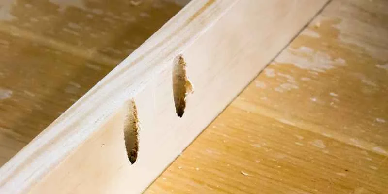 Close-up of two angled pocket holes showing jig misalignment on a board edge