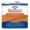 Thompsons WaterSeal Semi-Transparent, Natural Cedar, 1 Gallon