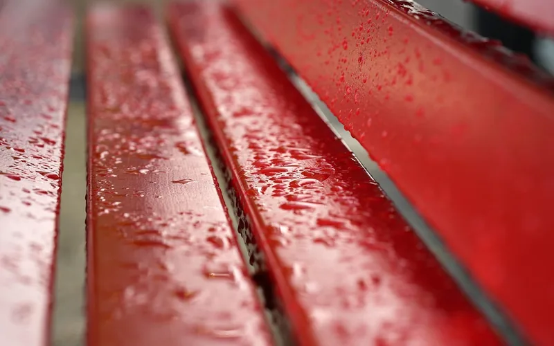 Raindrops beading on the coated slats of a wooden bench Raindrops beading on the coated slats of a wooden bench