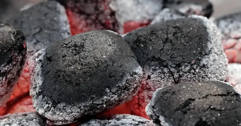 Can You Mix Charcoal Pellets and Wood Pellets? (Best Ratio)