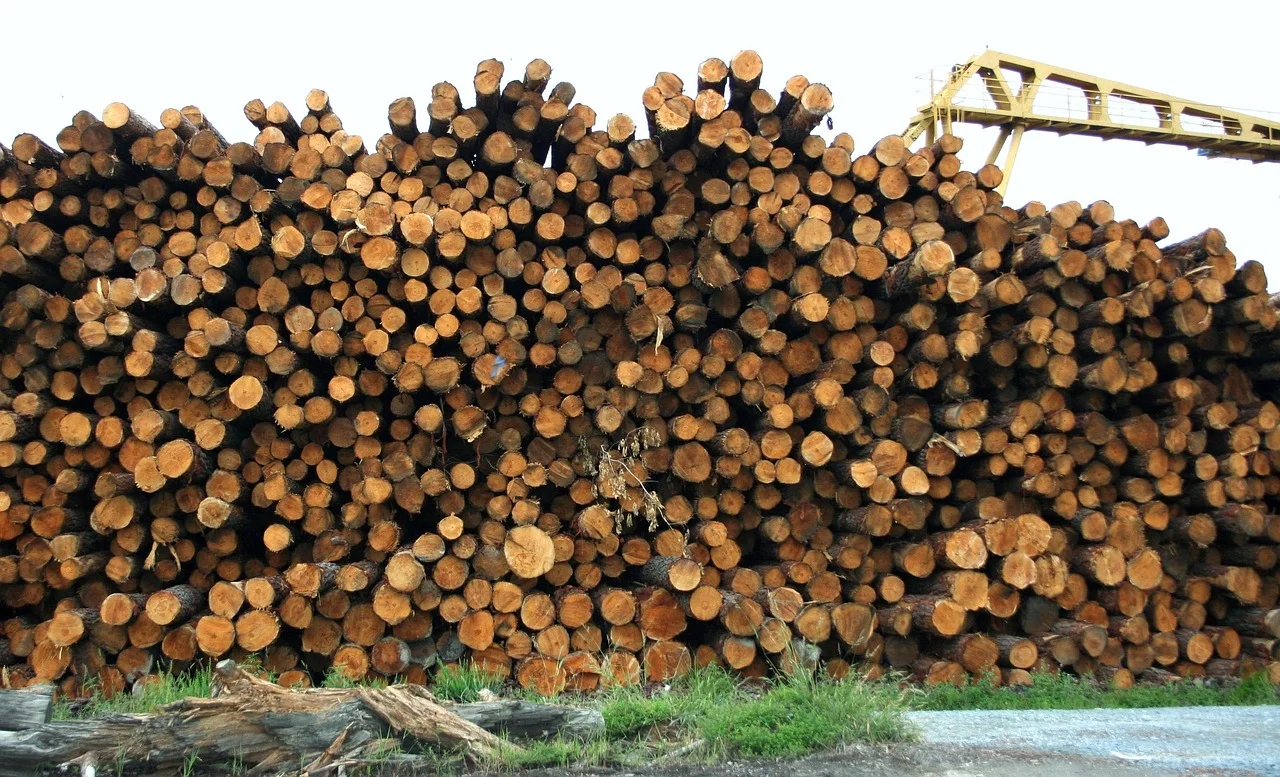 large stacked log pile at an industrial lumberyard used for wholesale hardwood sourcing