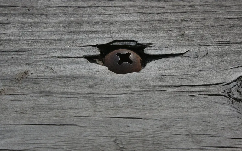 Rusted screw head sunk into a split in weathered gray wood
