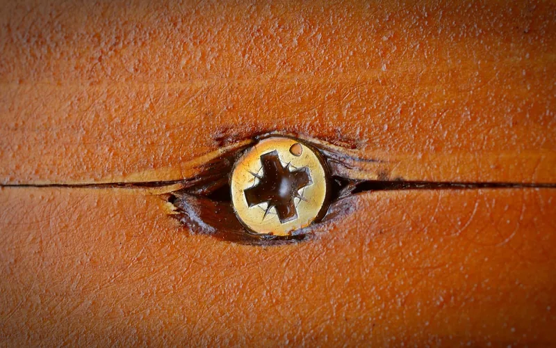Screw head in hardwood with the grain splitting beside it Screw head in hardwood with the grain splitting beside it