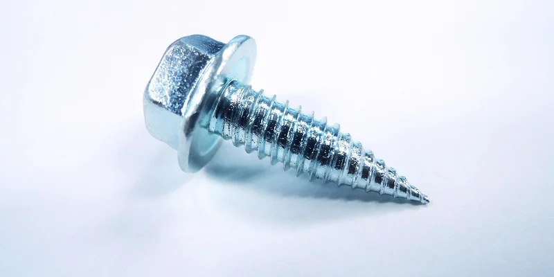 Assorted screws and nails organized for storage