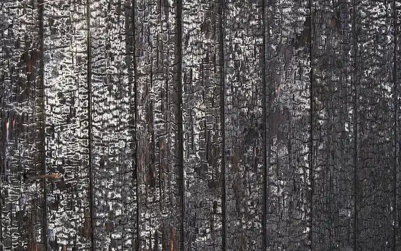 vertical charred wood siding planks with a scorched alligator-skin texture