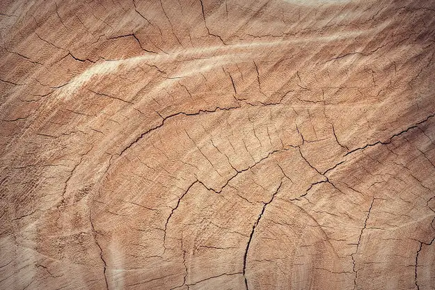 Close-up of natural wood grain figure on a rough-cut blank