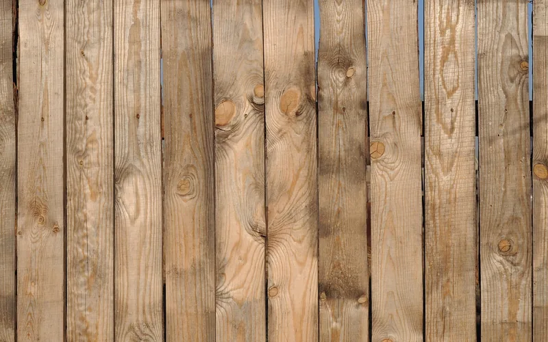 Weathered cedar fence boards showing natural gray patina and surface checking Weathered cedar fence boards showing natural gray patina and surface checking