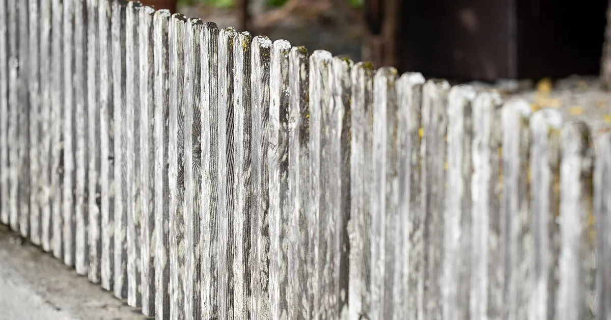 weathered gray wood picket fence showing years of untreated sun and rain exposure